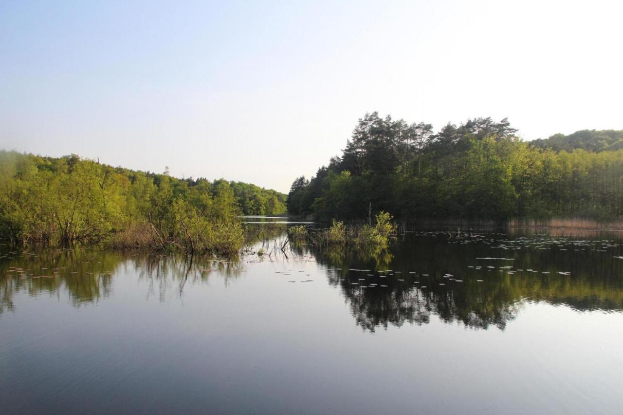 Semi-Detached Big House In Kolczewo Located Close To The Lake Екстериор снимка
